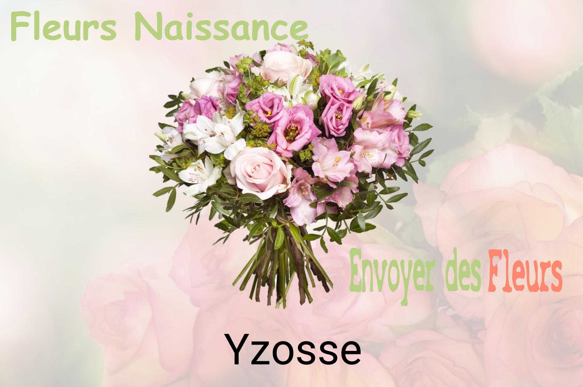 Bouquet de fleurs de naissance livré à Yzosse
