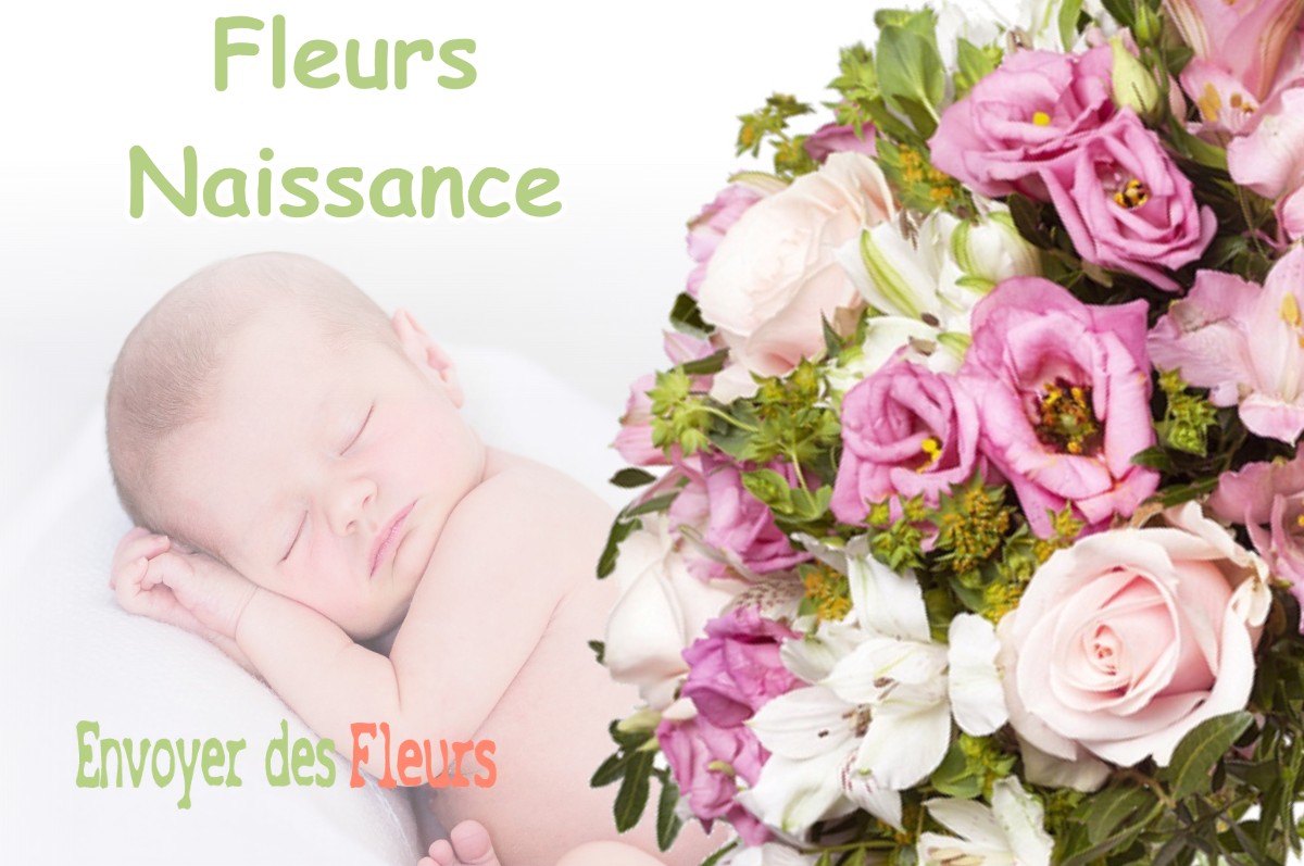 lIVRAISON FLEURS NAISSANCE à YZOSSE